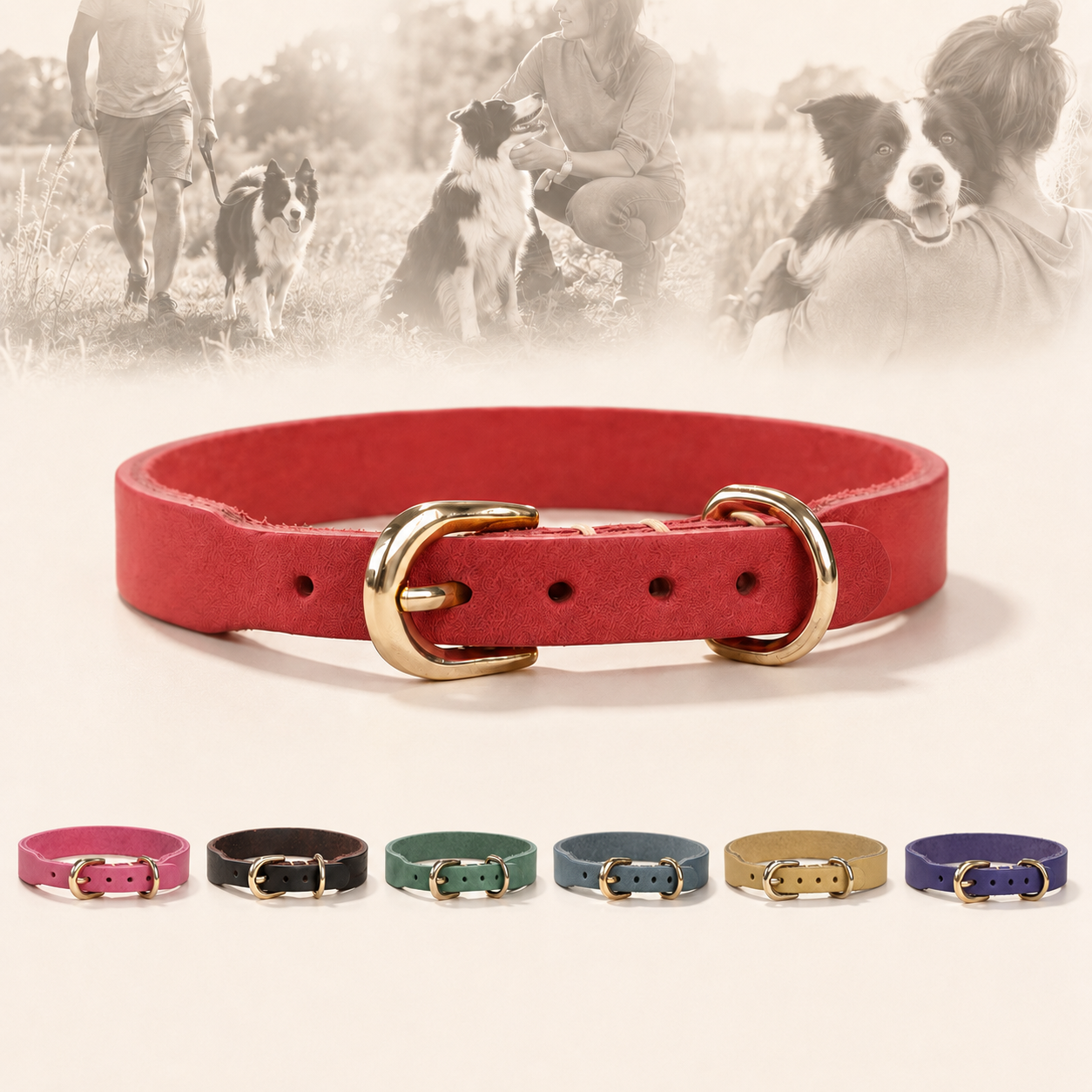 Full-grain leather dog collar with pale-gold buckle and D-ring shown with six colour options