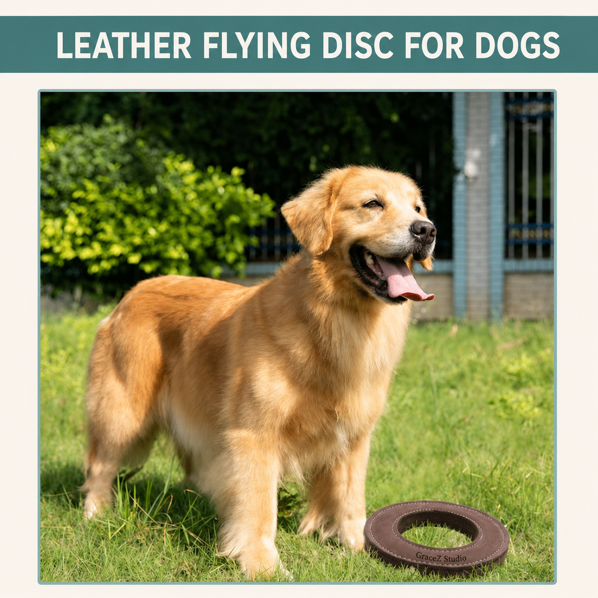 Golden Retriever outdoors beside a suede leather and wool felt flying ring toy