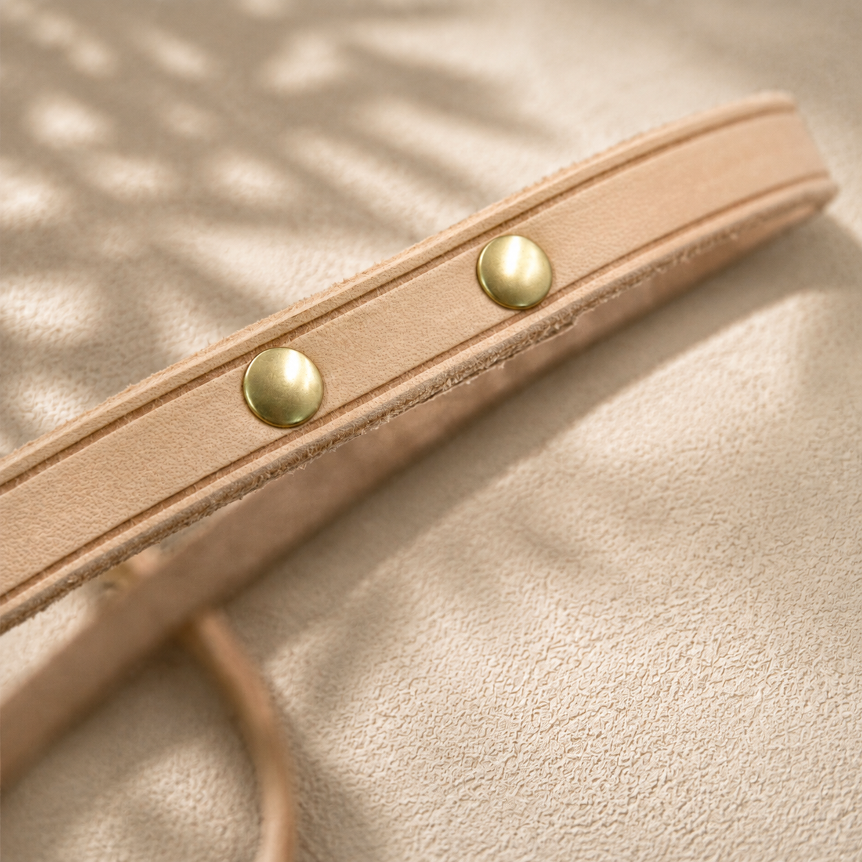 Hand-finished vegetable-tanned leather dog leash with solid brass rivets