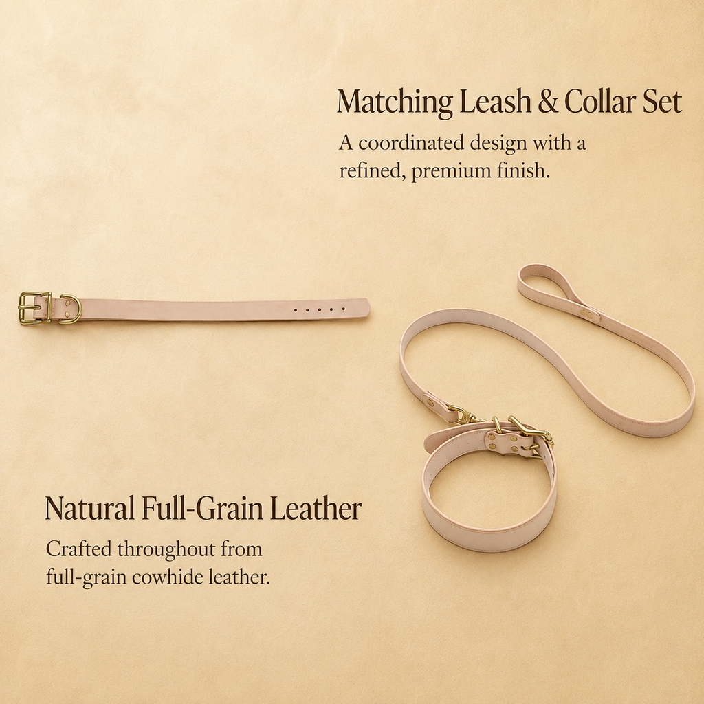 Matching full-grain vegetable-tanned leather dog collar and leash set with solid brass hardware
