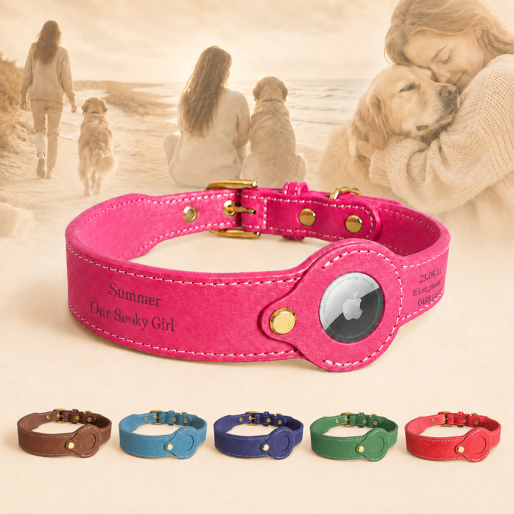 personalised leather dog collar with removable AirTag holder and engraved name