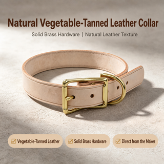 Personalised Handcrafted Vegetable-Tanned Leather Dog Collar with Solid Brass Hardware — Set Add-on