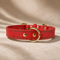 red full-grain leather dog collar with dual D-rings, brown stitching and polished gold-tone hardware.