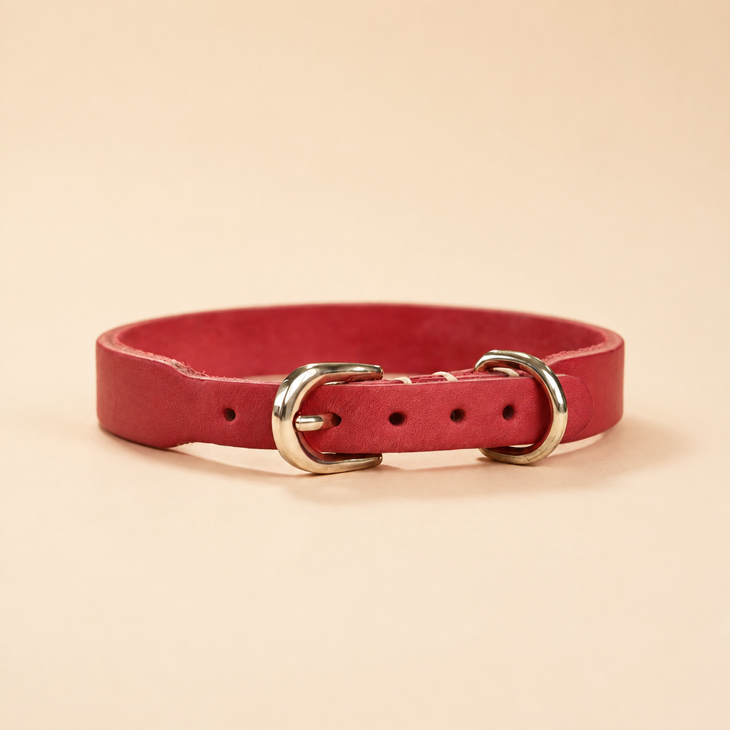 Red full-grain leather dog collar with adjustable buckle holes and pale-gold D-ring