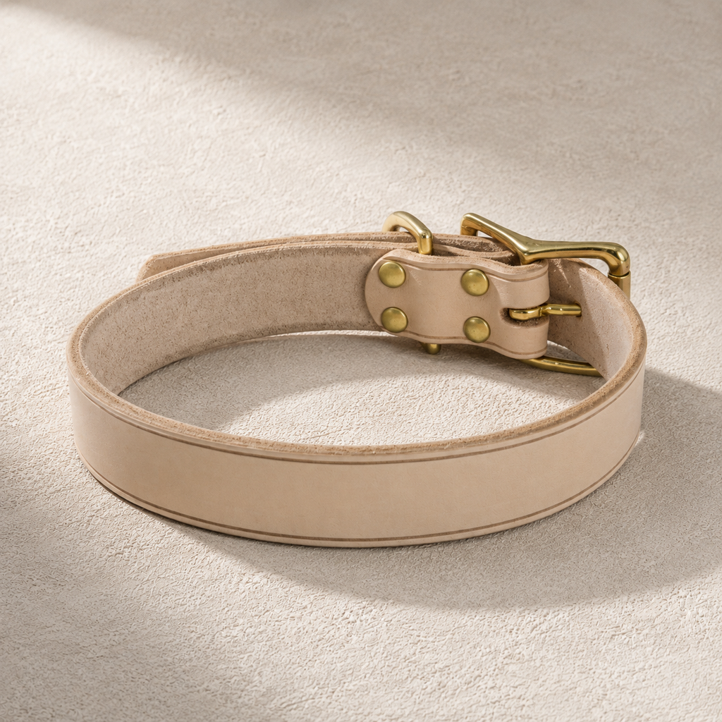 Rolled-edge vegetable-tanned leather dog collar with solid brass buckle and rivets
