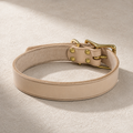 Rolled-edge vegetable-tanned leather dog collar with solid brass buckle and rivets