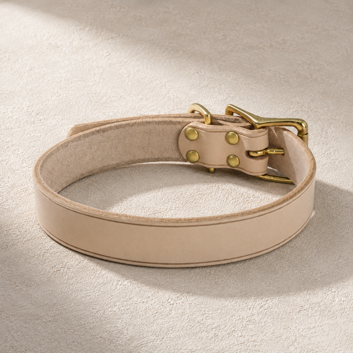 Rolled-edge vegetable-tanned leather dog collar with solid brass buckle and rivets