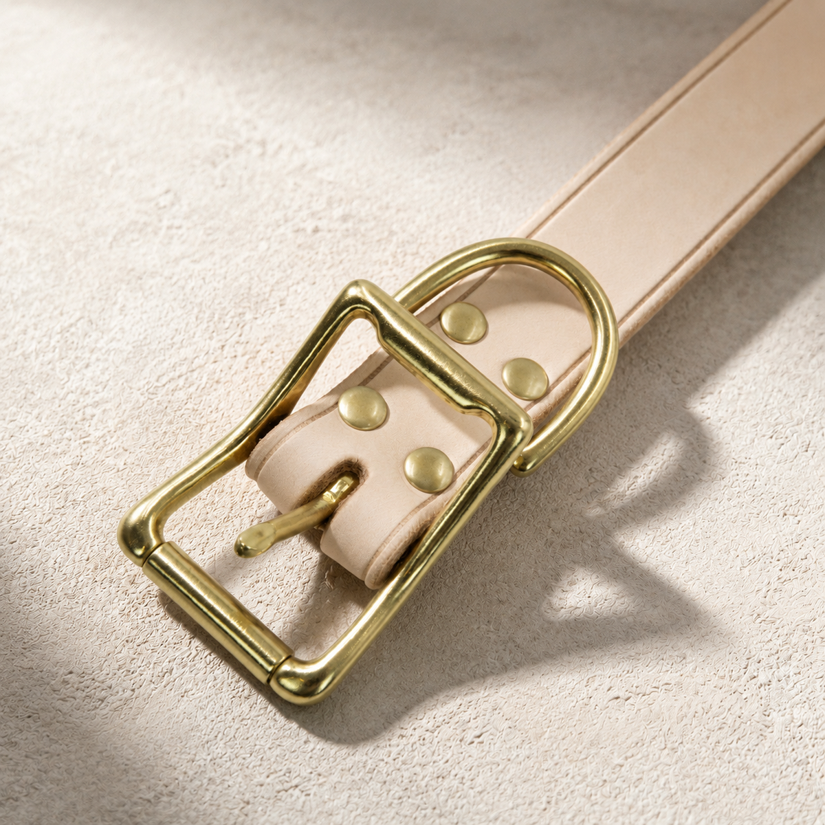 Solid brass buckle and rivets on a vegetable-tanned leather dog collar