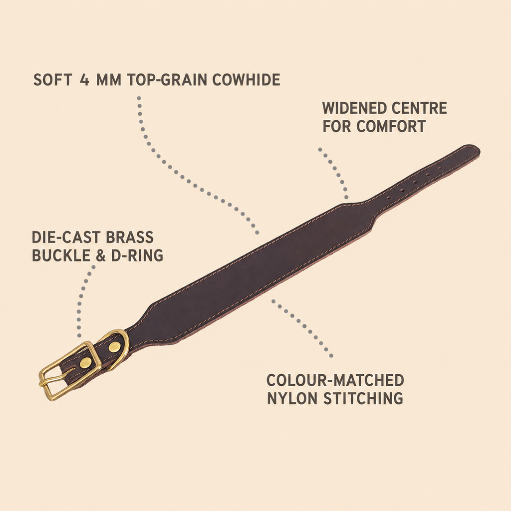 Top-grain leather sighthound collar with widened centre, brass buckle, D-ring and reinforced stitching